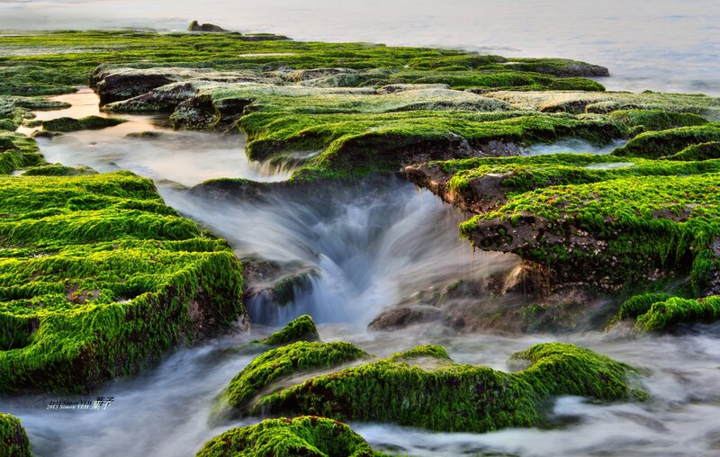 Green Moss-covered Rocks — Serene, Sunset, Photograph, Water