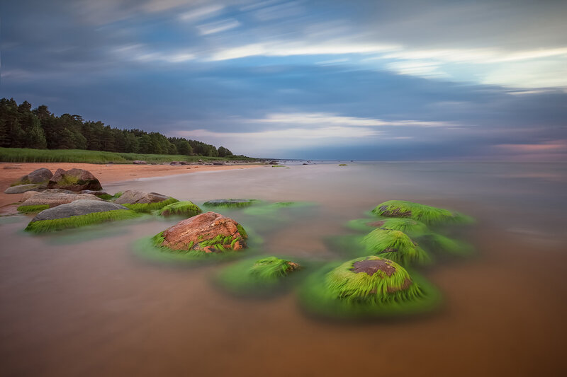 Green Moss-covered Rocks — Serene, Sunset