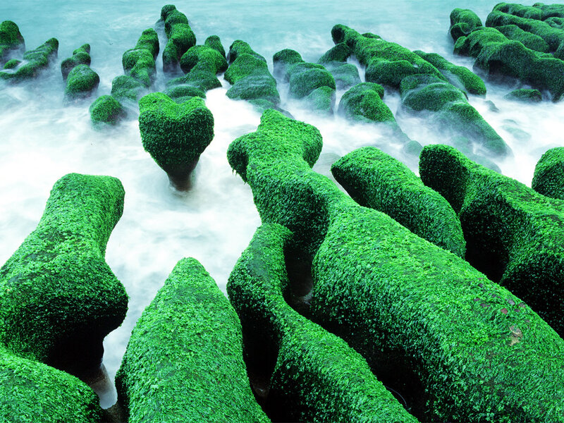 Green Moss-covered Rocks — Serene
