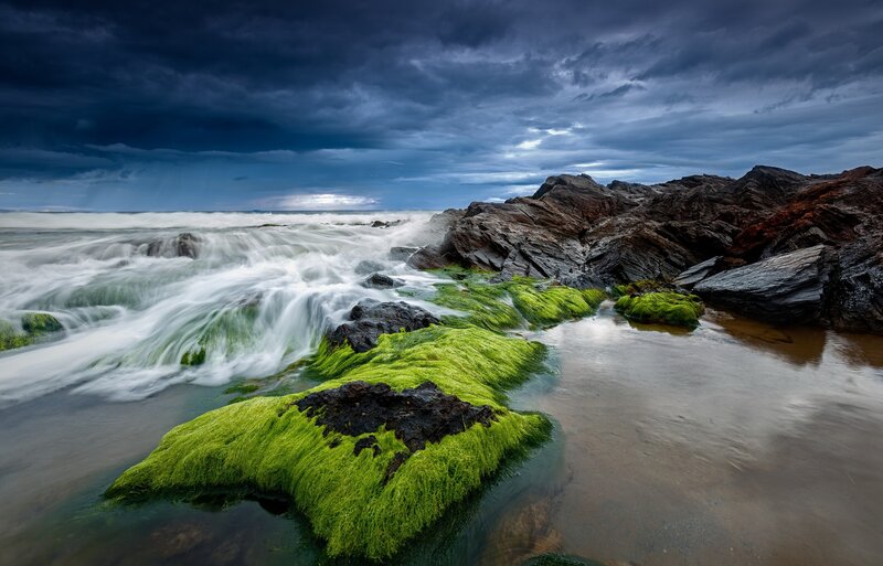 Green Moss on Rocks — Dramatic, Photograph, Ocean