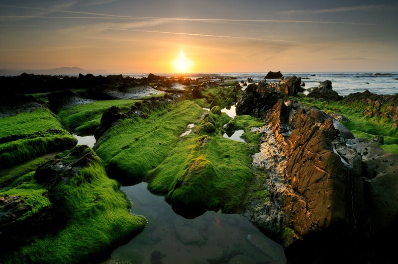 Green Moss on Rocks — Serene, Sunset, Photograph, Sun
