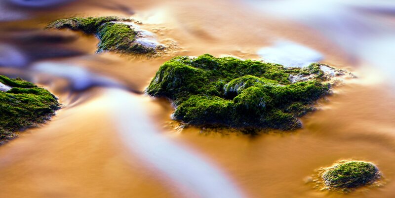 Green Moss on Rocks — Serene, Sunset, Photograph