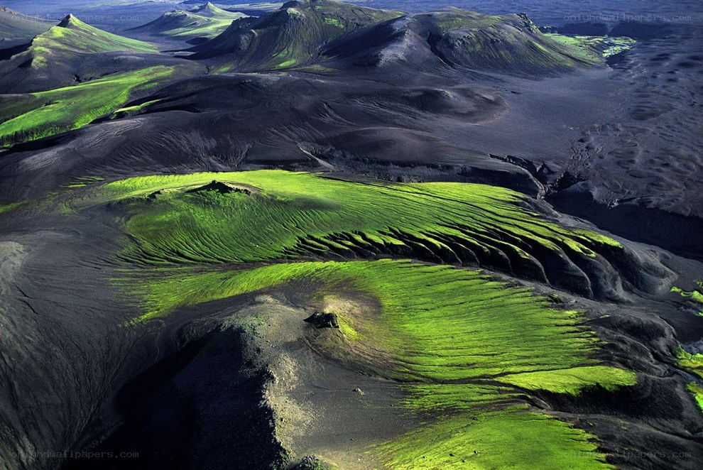 green moss on volcanic landscape