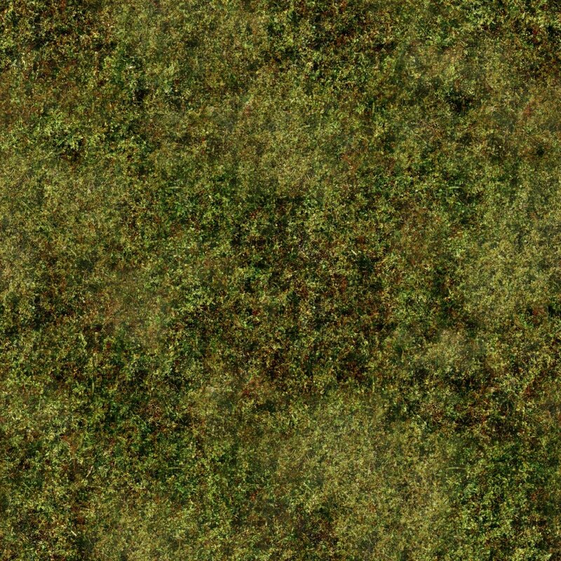 Green Moss Texture — Natural