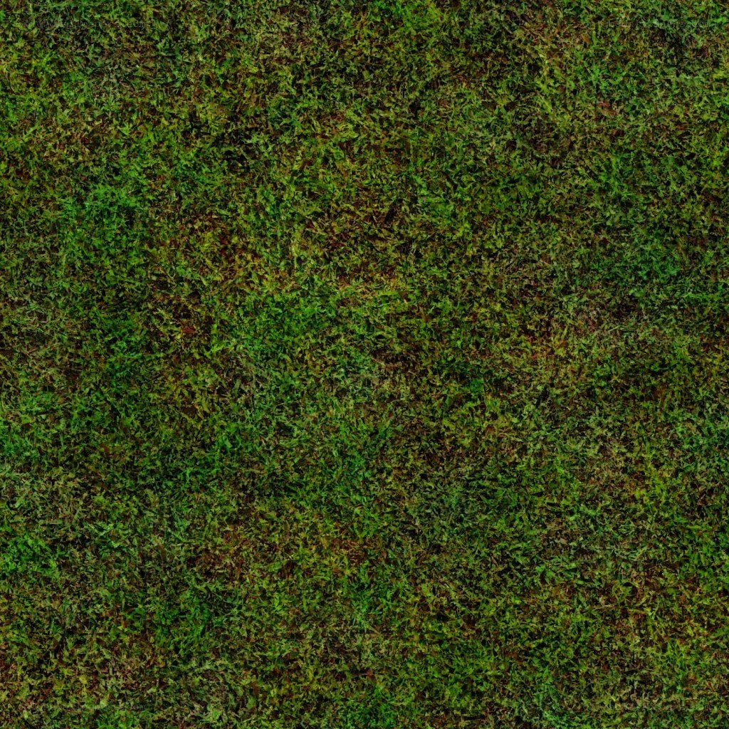 green moss texture