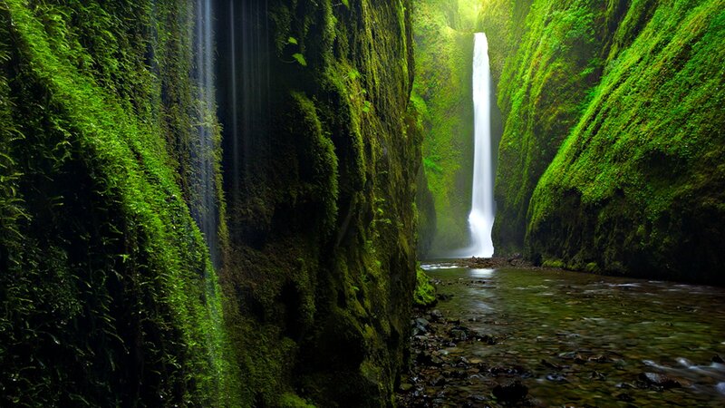 Green Mossy Canyon
