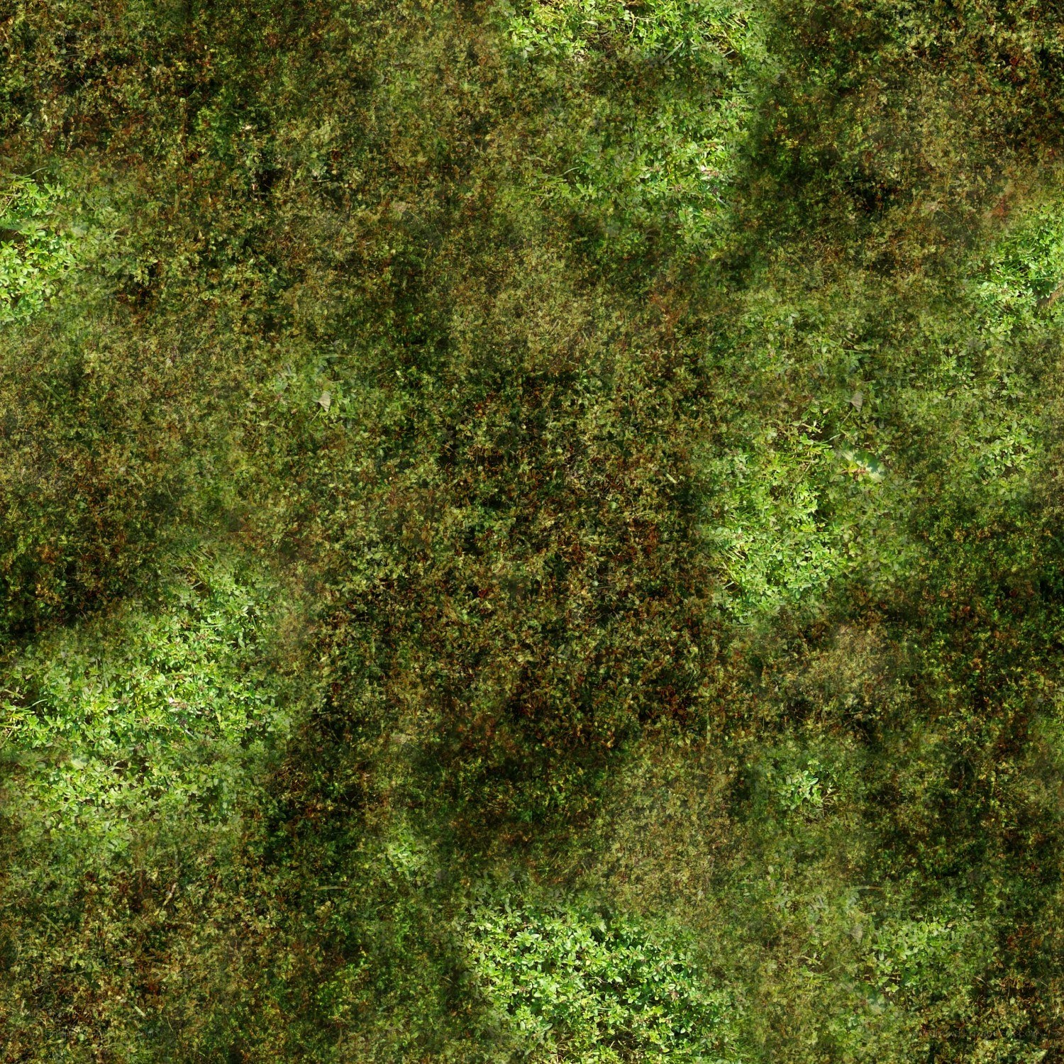 green mossy ground texture