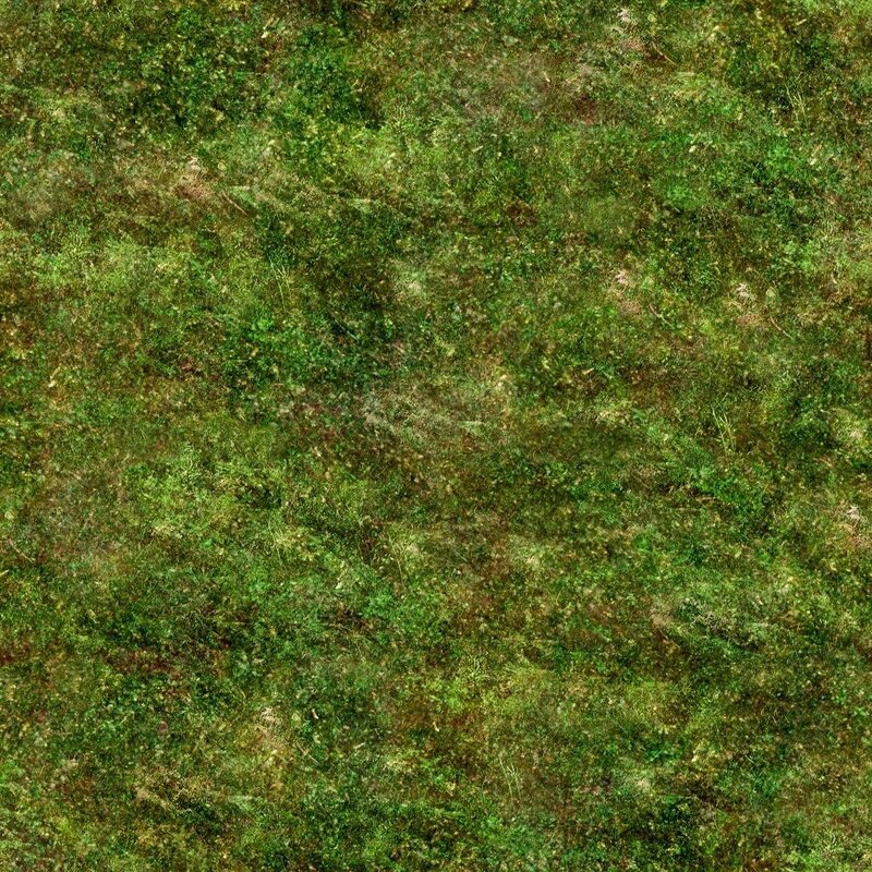 Green Mossy Ground