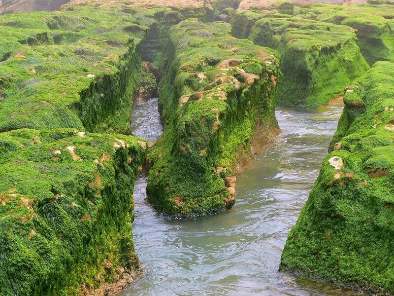 green mossy rock formations