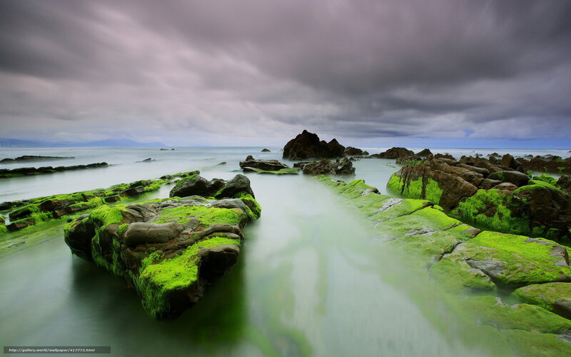 Green mossy rocks at coast