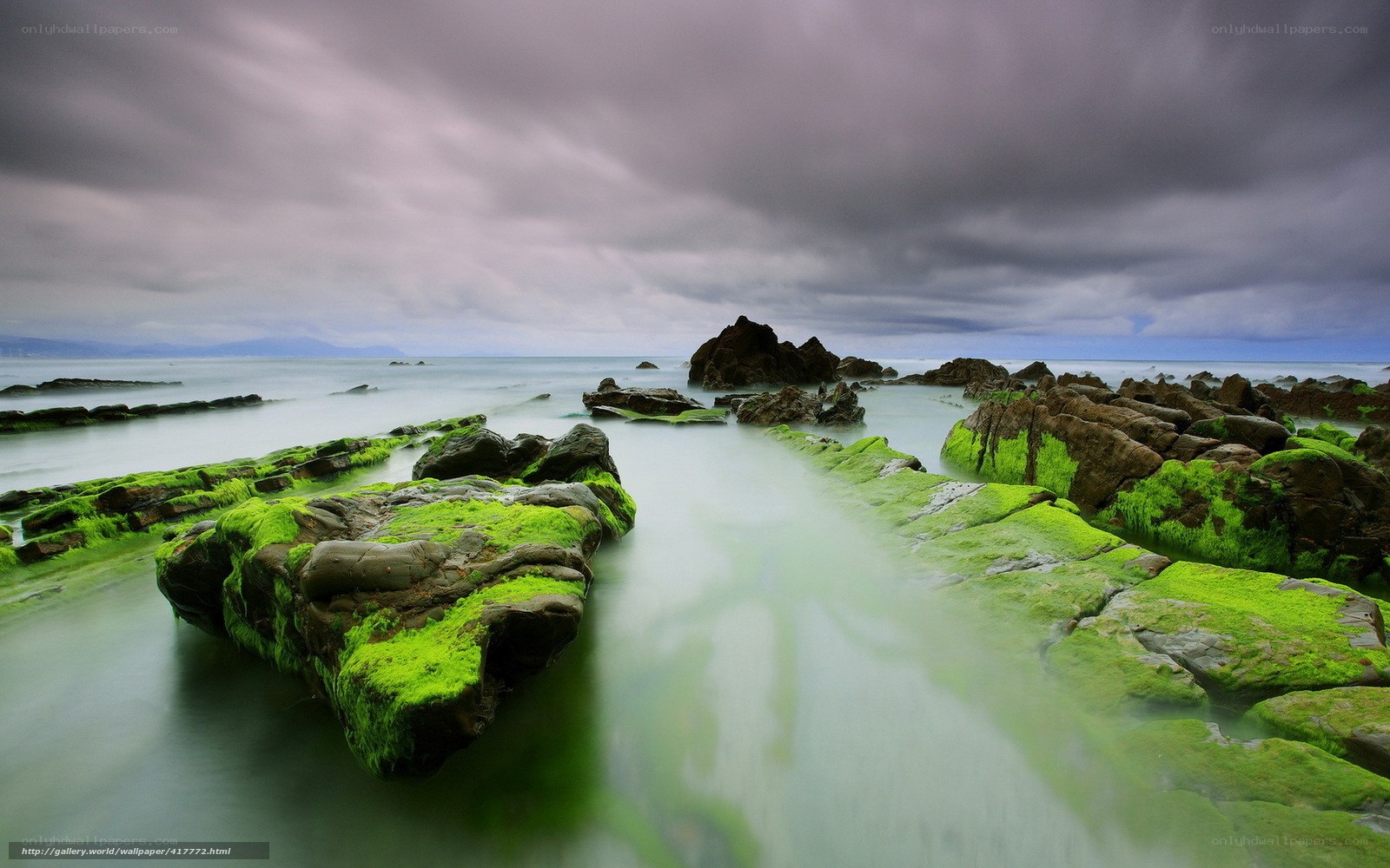 Green mossy rocks at coast