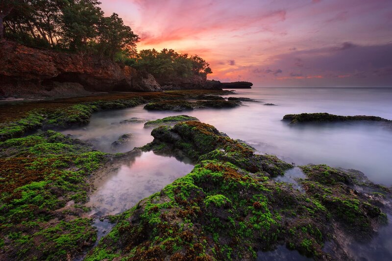 Green Mossy Rocks at Sunset — Pink