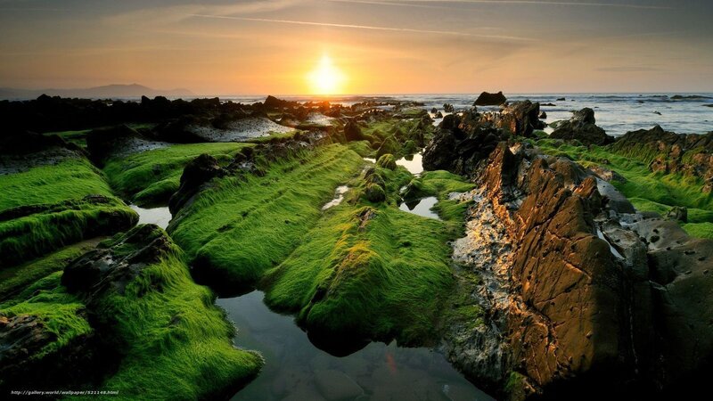 Green Mossy Rocks at Sunset — Serene