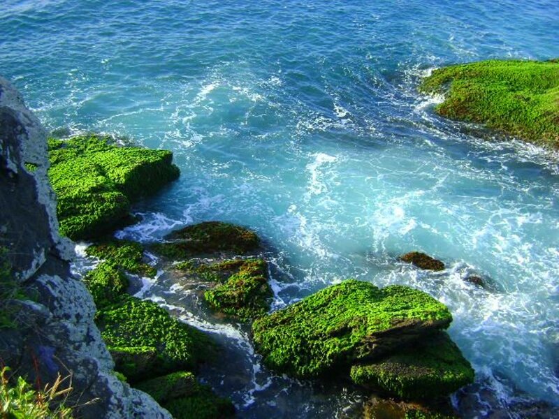 Green Mossy Rocks — Blue, Dynamic