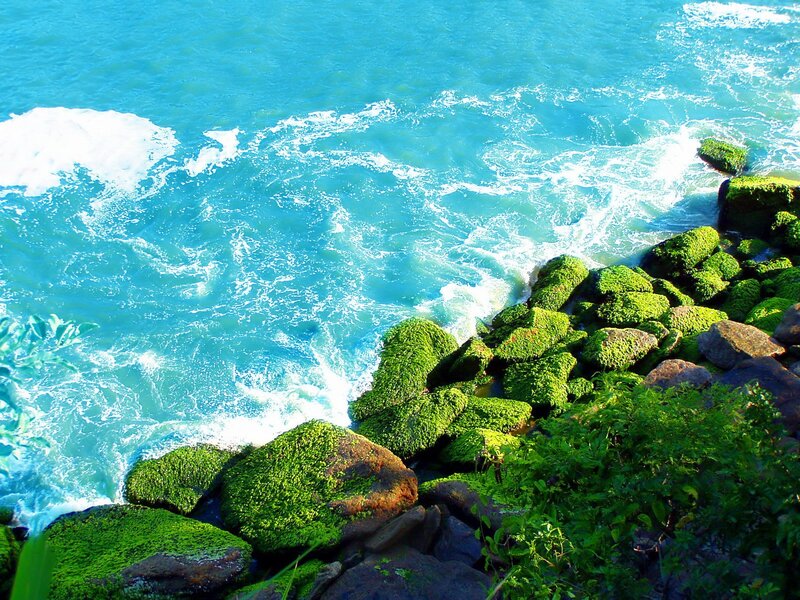 Green mossy rocks by the sea