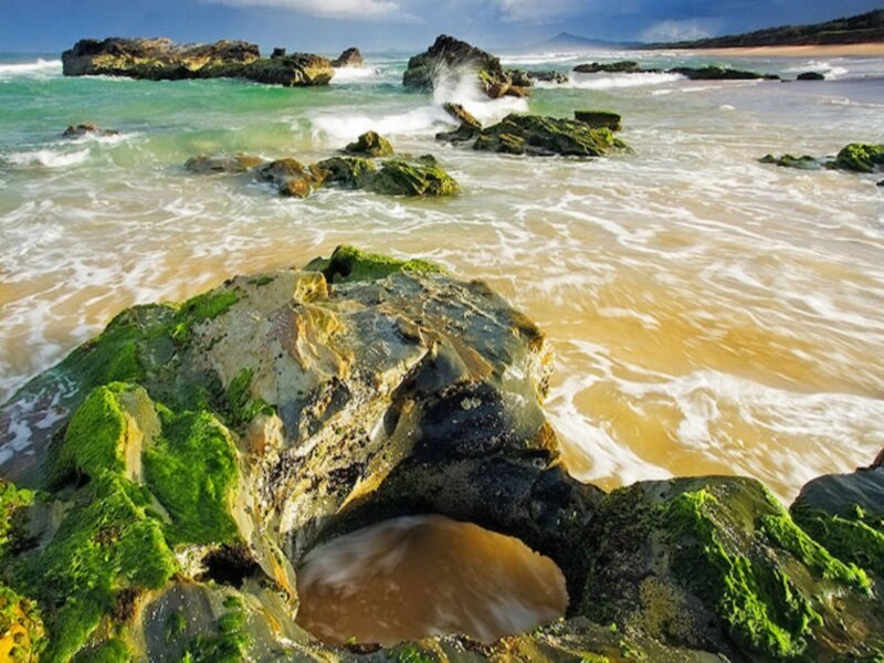 Green Mossy Rocks — Dynamic