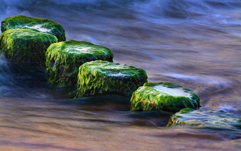 Green mossy rocks in flowing water