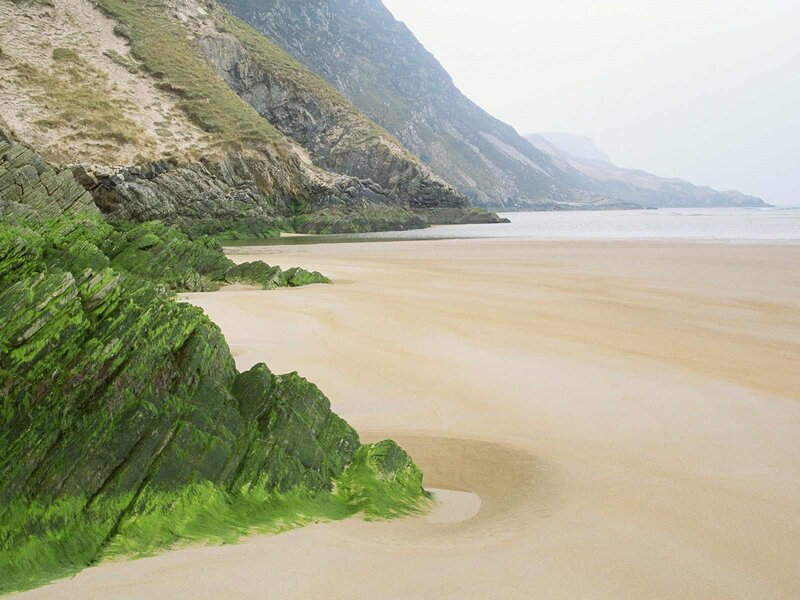 Green Mossy Rocks on Beach — Serene