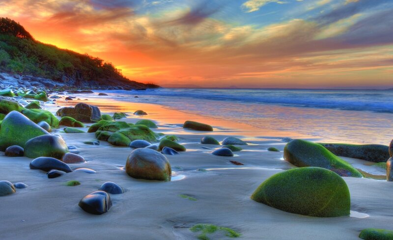 Green Mossy Rocks on Beach