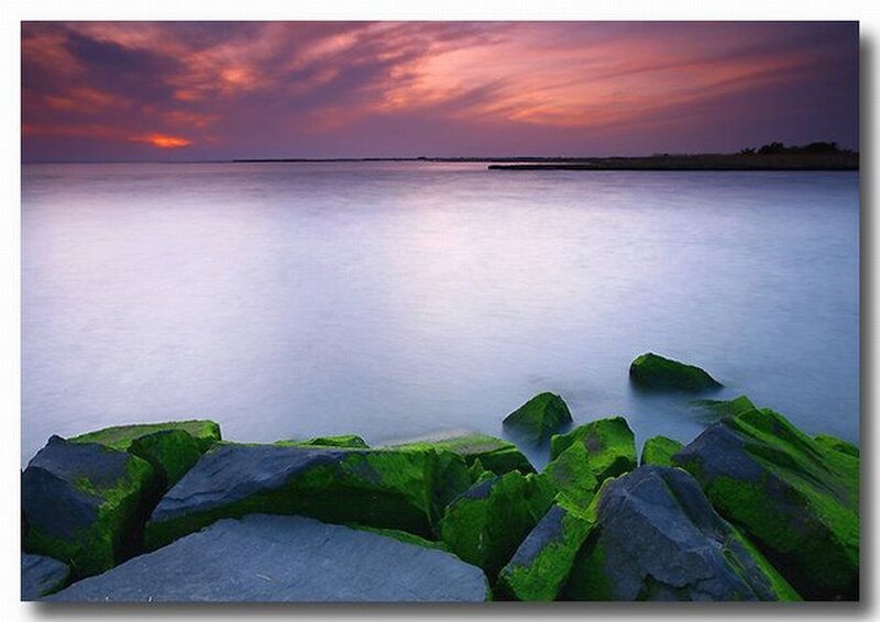 Green Mossy Rocks — Purple