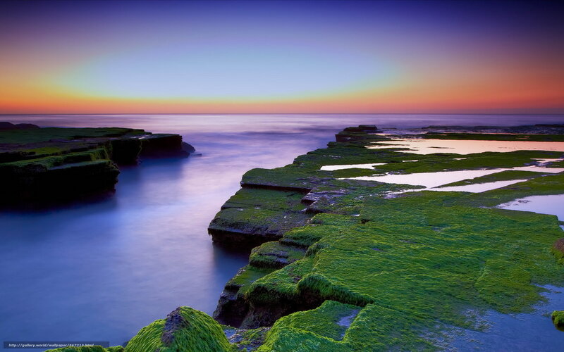 Green Mossy Rocks — Serene, Sunrise