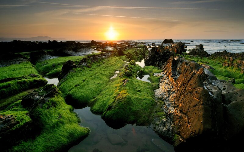 Green Mossy Rocks — Serene, Sunset, Photograph, Sun, Ocean