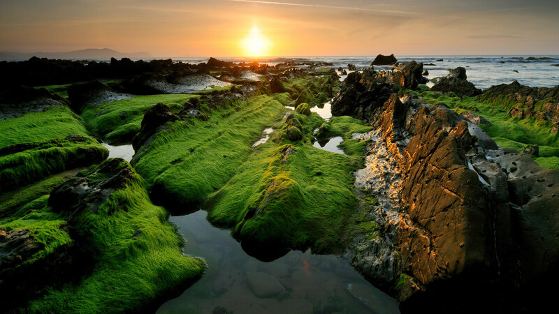 Green Mossy Rocks — Serene, Sunset, Photograph, Sun