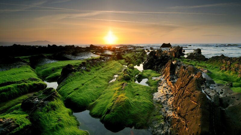 Green Mossy Rocks — Serene, Sunset, Photograph