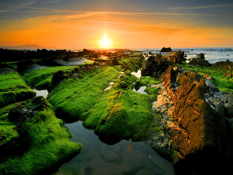 Green Mossy Rocks — Serene, Sunset