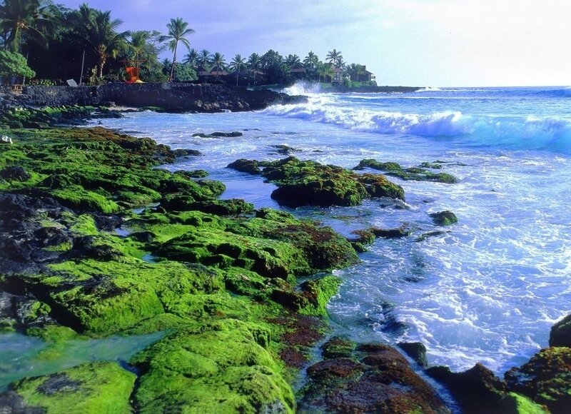 Green Mossy Rocks — Serene