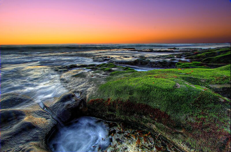 Green Mossy Rocks
