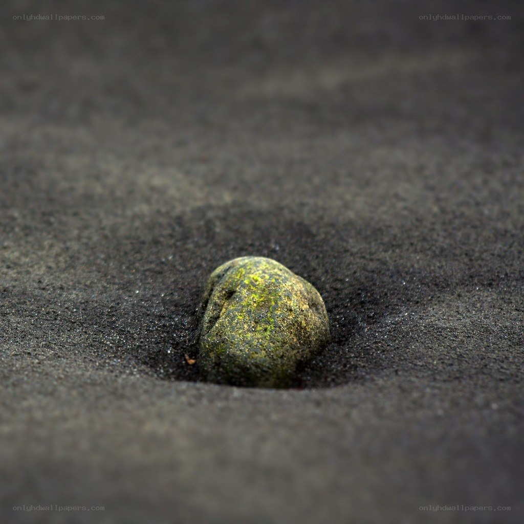 green mossy stone in sand