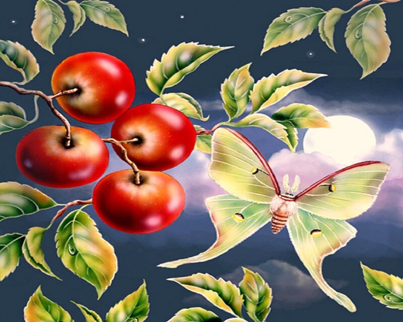 Green Moth and Red Berries