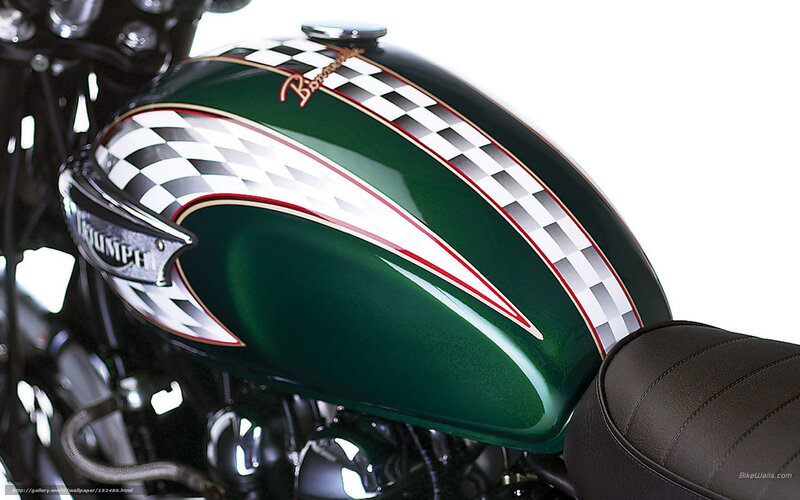 Green Motorcycle Fuel Tank — Clean