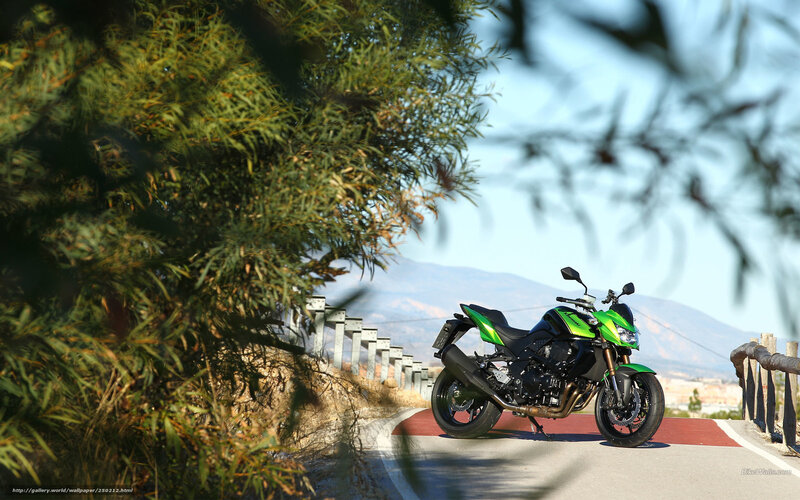 green motorcycle on a road