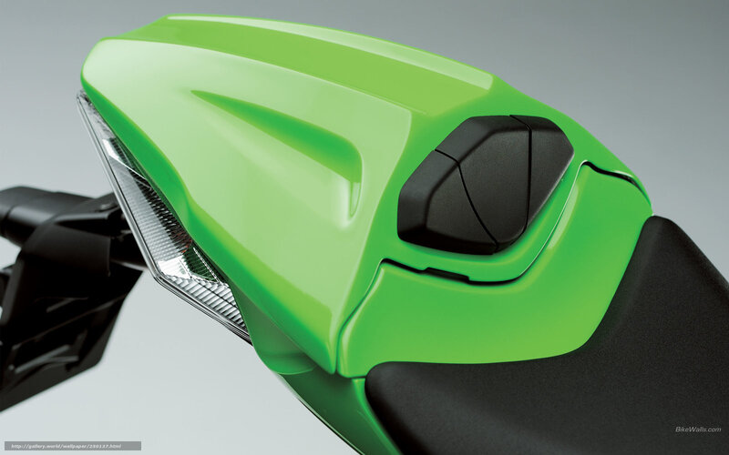 green motorcycle tail section