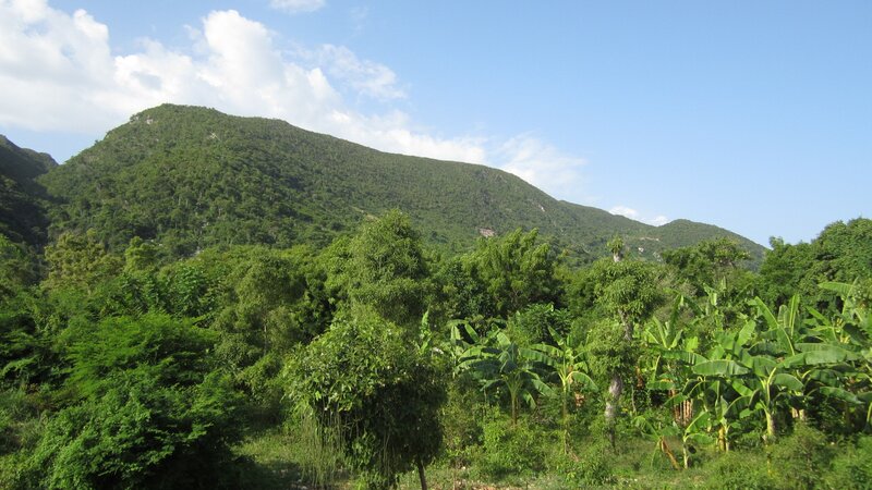 Green mountain landscape