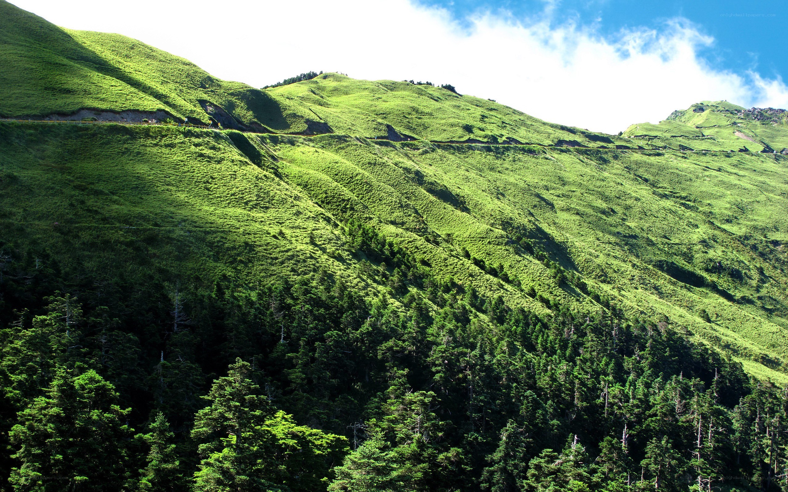 Green mountain landscape