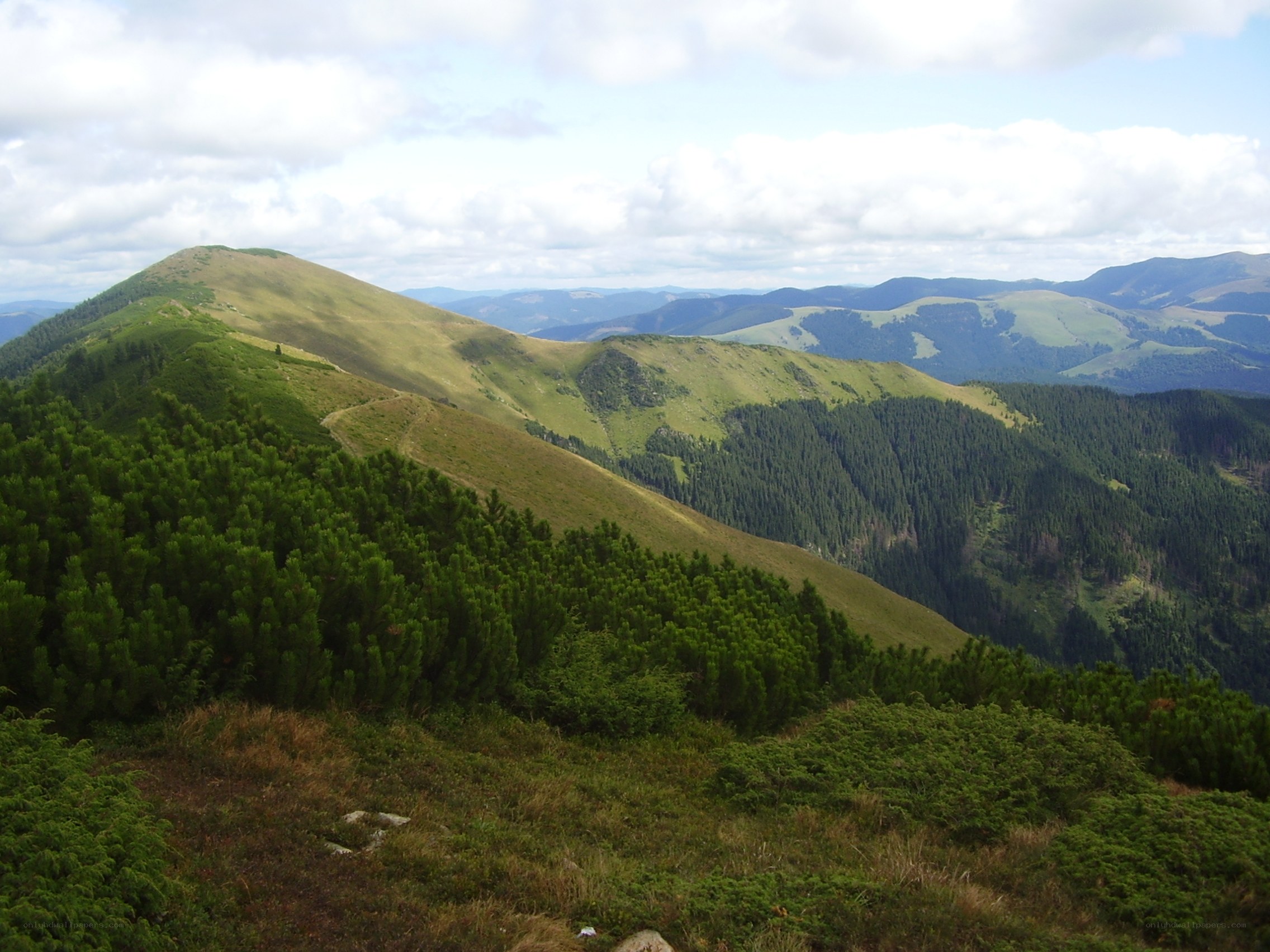Green mountain landscape