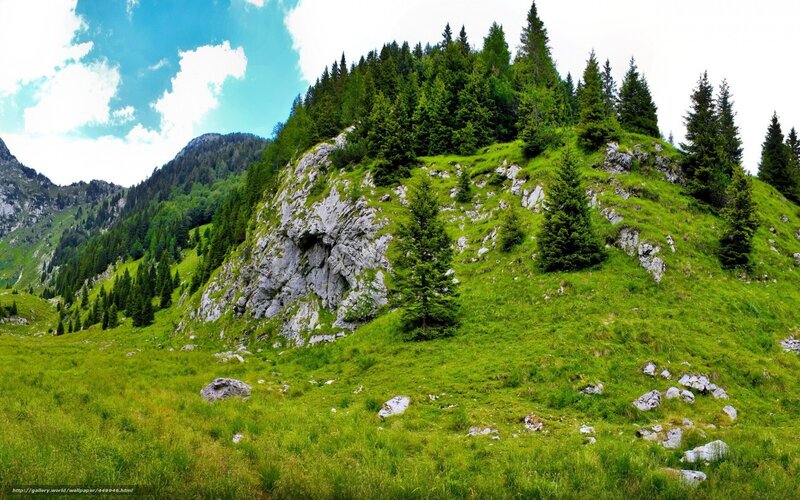 Green mountain landscape