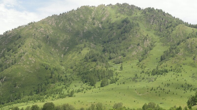 Green mountain landscape