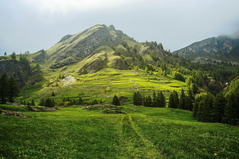 Green Mountain Landscape — Serene, Afternoon, Photograph, Trees