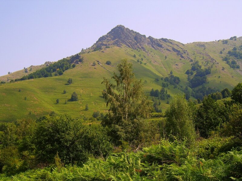 Green Mountain Landscape — Serene