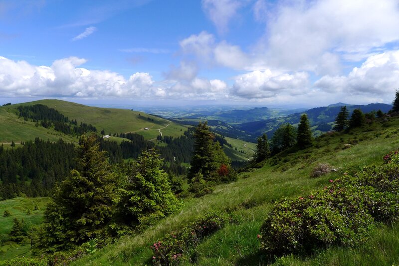 Green mountain landscape with clouds