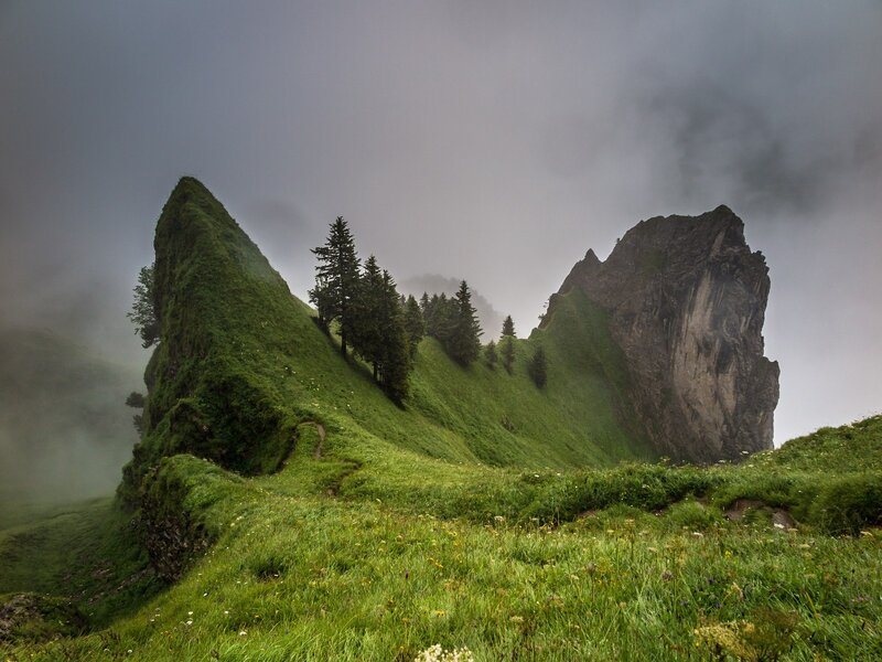 Green Mountain Peaks — Dramatic, Photograph, Trees