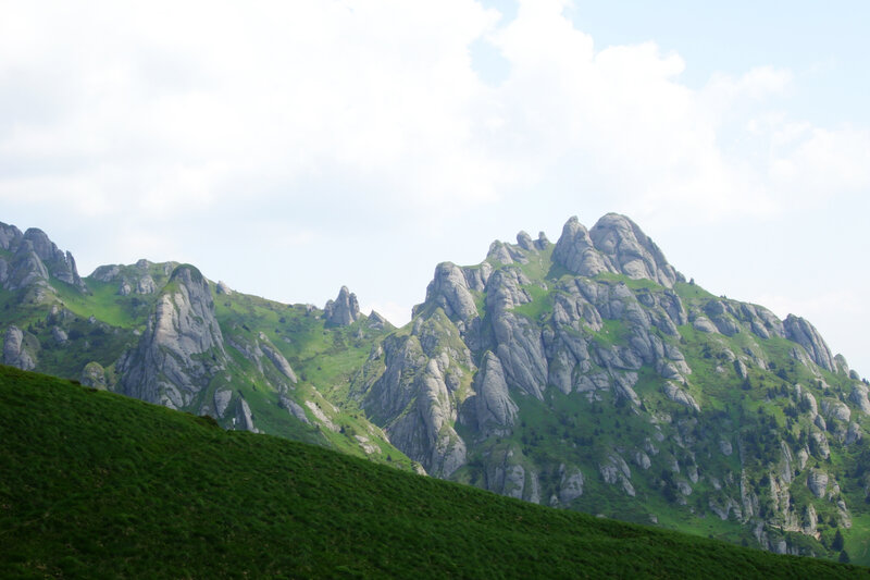 Green Mountain Range — Serene, Afternoon