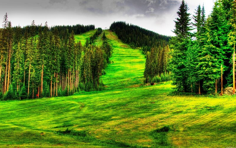 Green mountain ski slope