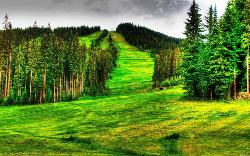 Green mountain ski slope