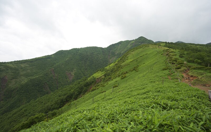 Green Mountain Slope — Overcast