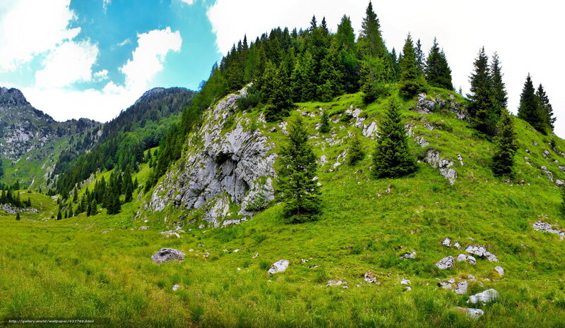 Green Mountain Slope — Serene, Afternoon, Photograph, Trees
